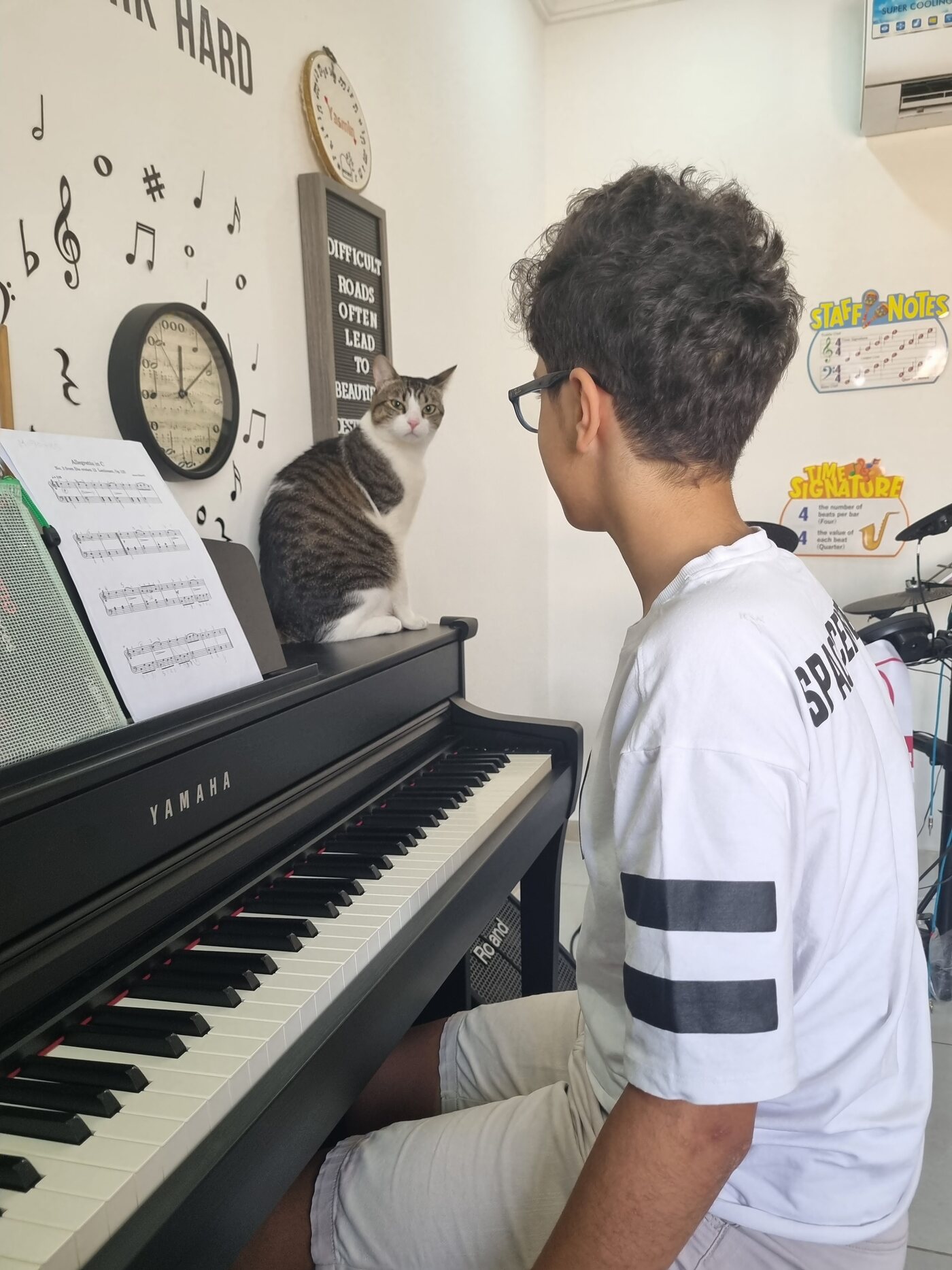 A teenage student at the piano with a cat sitting on the lid
